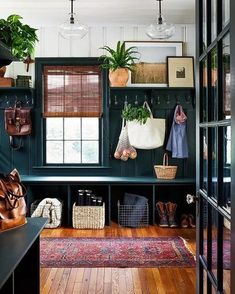 a room with green walls and lots of plants on the shelves in front of it