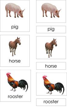 four different pictures of farm animals with words in the bottom right hand corner, including pig, horse, rooster, and chicken