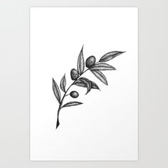 black and white drawing of an olive branch with leaves on it, against a white background