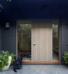 a black dog sitting in front of a wooden door and planters with potted plants