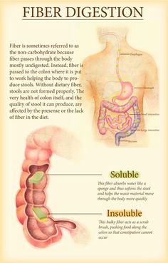 Dietetics Student, Artery Cleanse, Basic Anatomy And Physiology, Colon Health, Nutrition And Dietetics, Preventative Health, Hormone Health, Medical Knowledge
