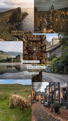 a collage of pictures with animals, buildings and water in the middle one has an image of scotland on it