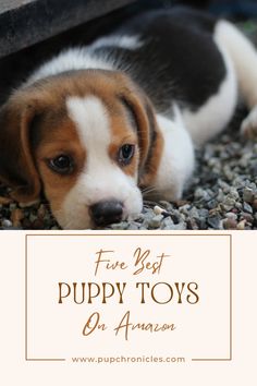 a puppy is laying on the ground with its head under a wooden post and text that reads, five best puppy toys on amazon