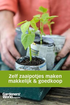 Iemand die zelfgemaakte papieren zaaipotjes met zaailingen in een bak zet. Gardeners World, Green Life, Kitchen Garden, Plants, Green