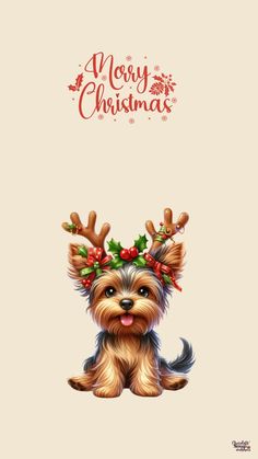 a christmas card with a small dog wearing reindeer antlers on it's head