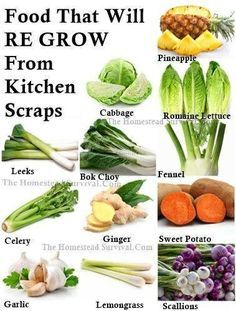 food that will grow from kitchen scraps is shown on an iphone screen, with the caption'food that will grow from kitchen scraps '