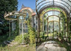 an abandoned greenhouse with ivy growing on the walls and in the middle, there is a glass door that leads to another room