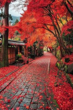 an autumn scene with red leaves on the ground