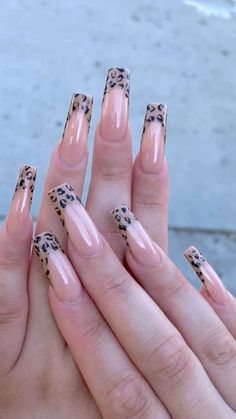 Colored Coffin French Tips, Oldies Nails, Nails Art Ideas, Leopard Print Nails, Summery Nails, Leopard Nails, Nail Swag, Acrylic Nails Coffin Short