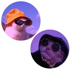 two pictures of a cat wearing sunglasses and a hat with the same image on it