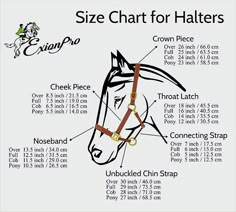 Horse equine charts facts education halter sizing information Halters For Horses, Leather Horse Halter, Halter Horse, Horse Halter, Leather Halter, Bridles, Over Size, Nickel Hardware, Solomon Islands