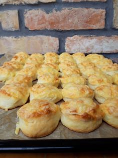 there are many small rolls on the baking sheet ready to be baked in the oven