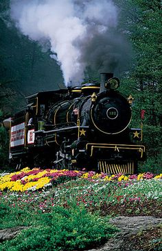 a train traveling through a lush green forest filled with flowers