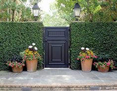 two large pots with flowers are in front of a black door that is surrounded by greenery