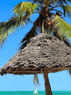 a palm tree on the beach with a sailboat in the water