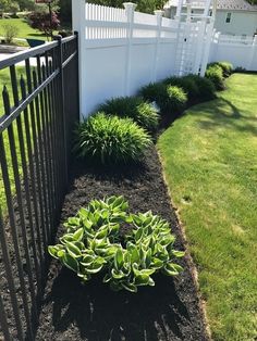 a white fence and some green plants in the grass near a yard with black iron fencing