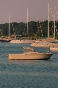 several boats floating in the water near each other