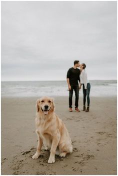 two people and a dog on the beach