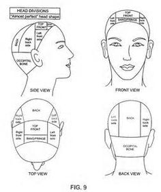 cosmetology head shape - v9.com Yahoo Image Search Results Parting Guide, Box Braids Parting Guide, Box Braids Parting, Braids Parting, Beauty School Cosmetology, Barber Tips, Aurora Hair, Intermediate Colors