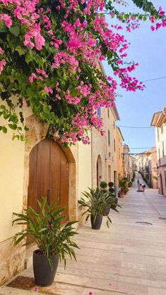 pink flowers are growing on the side of a building in an alleyway with potted plants