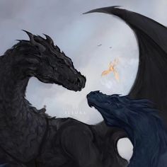 two black dragon facing each other on a cloudy day