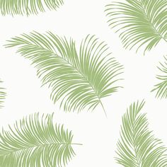 a green palm tree wallpaper with leaves on the side and white backround