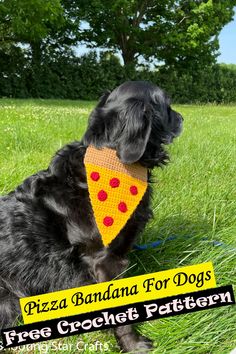 a black dog with a pizza bandana on it's neck sitting in the grass