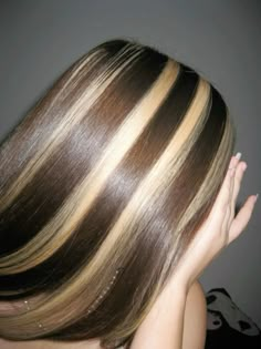 Brown Hair Base With Blonde Highlights, Skunk Hair Chunky Highlights, Y2k Brown And Blonde Hair, Brown Hair Blond Chunky Highlights, Caramel Chunky Highlights On Dark Hair, Skunk Hair On Blonde, Skunk Tail Hair Dye, Hair Dye Ideas Brown And Blonde, Chunk Highlights Brown Hair