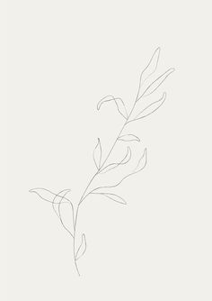 Blatt Tattoos, Line Art Flowers, Handpoke Tattoo, Plant Tattoo, Line Art Tattoos, Dainty Tattoos, Subtle Tattoos, Simplistic Tattoos, Line Illustration