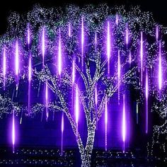 a tree that is lit up with purple lights