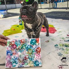 a dog standing on top of a table next to a piece of paper covered in paint