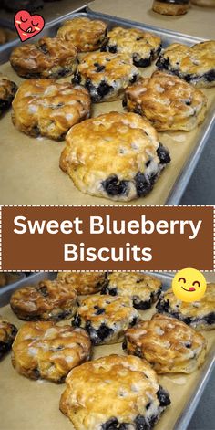 sweet blueberry biscuits on a baking sheet with text overlay that reads, sweet blueberry biscuits