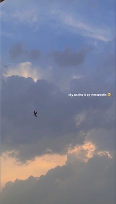 a bird flying in the sky with clouds behind it and a quote written on its side