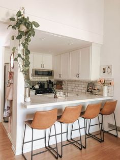 a kitchen counter with four stools and a potted plant in the center area