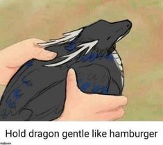 someone holding a bird in their hand with the caption hold dragon gentle like hamburger