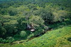 a river running through a lush green forest