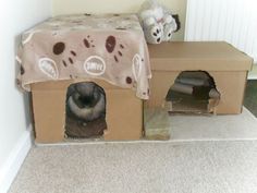 there is a cat in a cardboard house