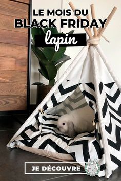 an animal in a teepee with the words le mois du black friday lapin