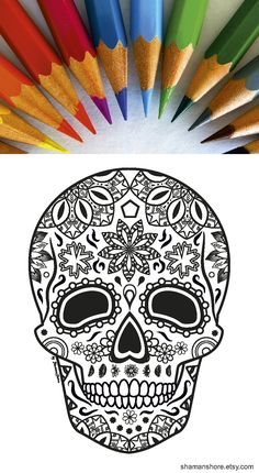 a skull with many different colored pencils in front of it and an image of a skull