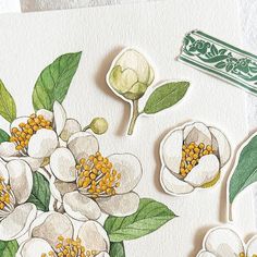 some white flowers and green leaves on a piece of paper next to a stamper