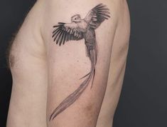 a black and white bird tattoo on the back of a man's left arm