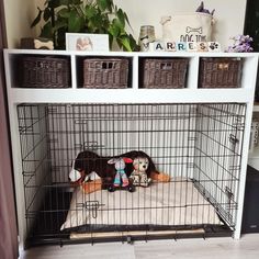 a dog cage with stuffed animals in it