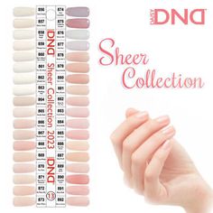 Dnd Sheer Pink Gel Nails, Dnd Sheer Collection 2023, Sheer Nails Gel, Dnd Sheer Pink, Dnd Natural Gel Color, Dnc Nail Colors Gel, Dnd Neutral Gel Polish, Dnd Sheer Collection, Dnd Nude Gel Polish