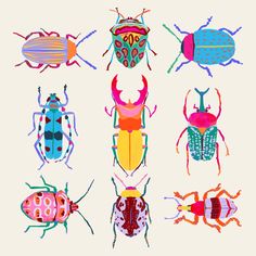 six different colored bugs on a white background