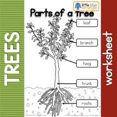 This is a parts of a tree worksheet. 
Perfect for a unit on plants or trees
Instructions for printing and use

Print out on A4 paper. Parts Of A Tree Worksheet, Trees Kindergarten, Parts Of A Tree, Tree Worksheet, Plants Kindergarten, Plant Lessons, Plants Worksheets, Family Tree Worksheet, Forest School Activities