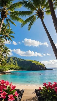 the beach is surrounded by palm trees and blue water, with pink flowers in the foreground