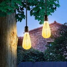 three light bulbs hanging from a tree in front of a brick wall and fence at night