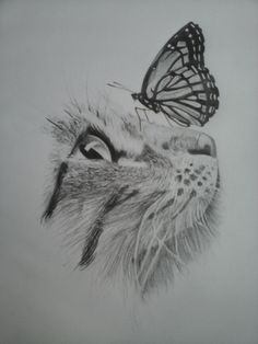 a drawing of a cat with a butterfly on its head