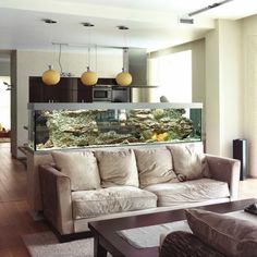 a living room filled with furniture and a large fish tank in the middle of it