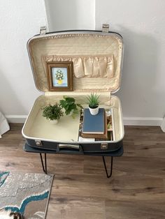 an open suitcase sitting on top of a hard wood floor next to a rug and potted plant